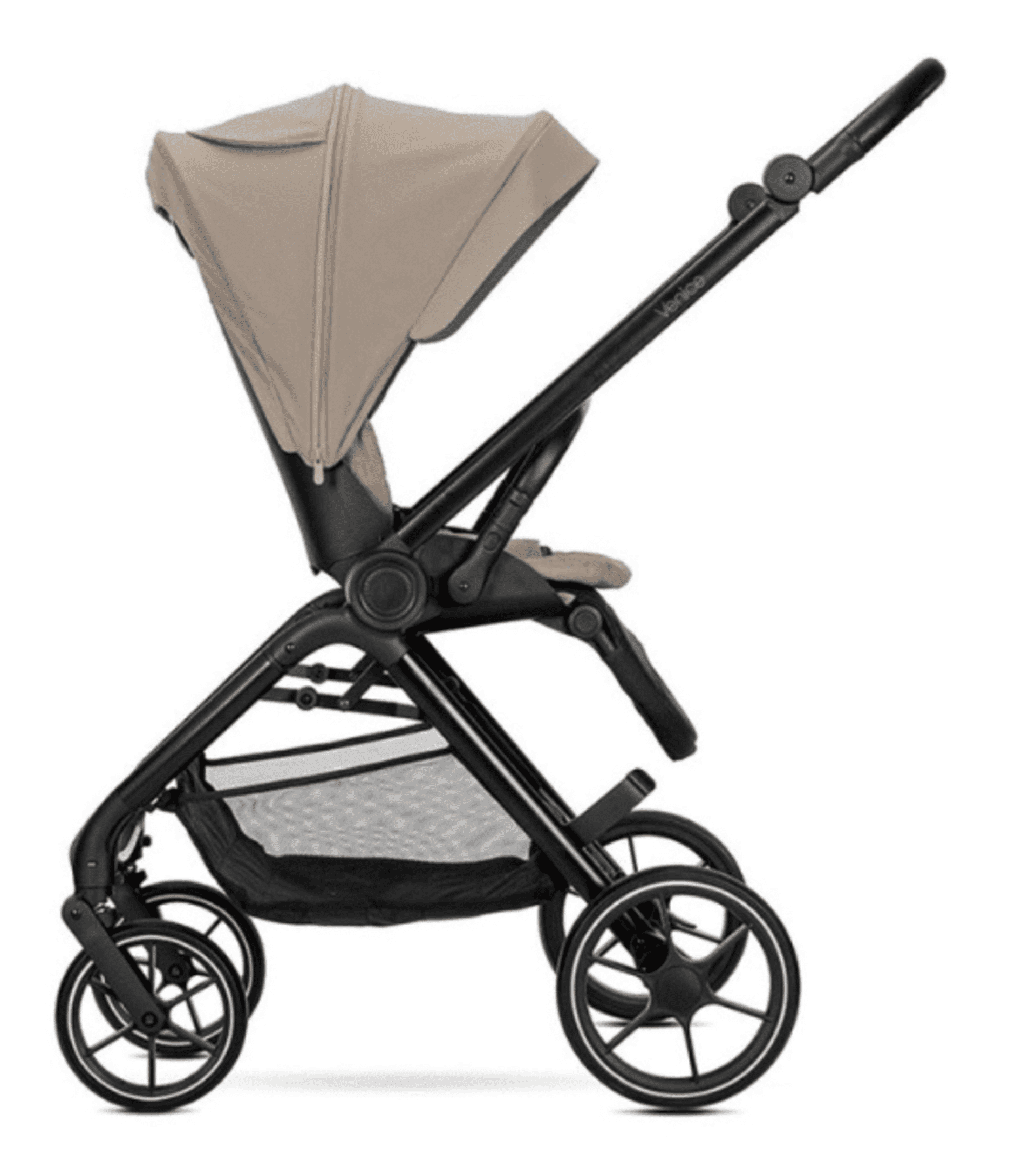 𝘾𝘼𝙍𝙍𝙄𝙏𝙊 𝙑𝙀𝙉𝙄𝘾𝙀 𝐃𝐔𝐎 - 12