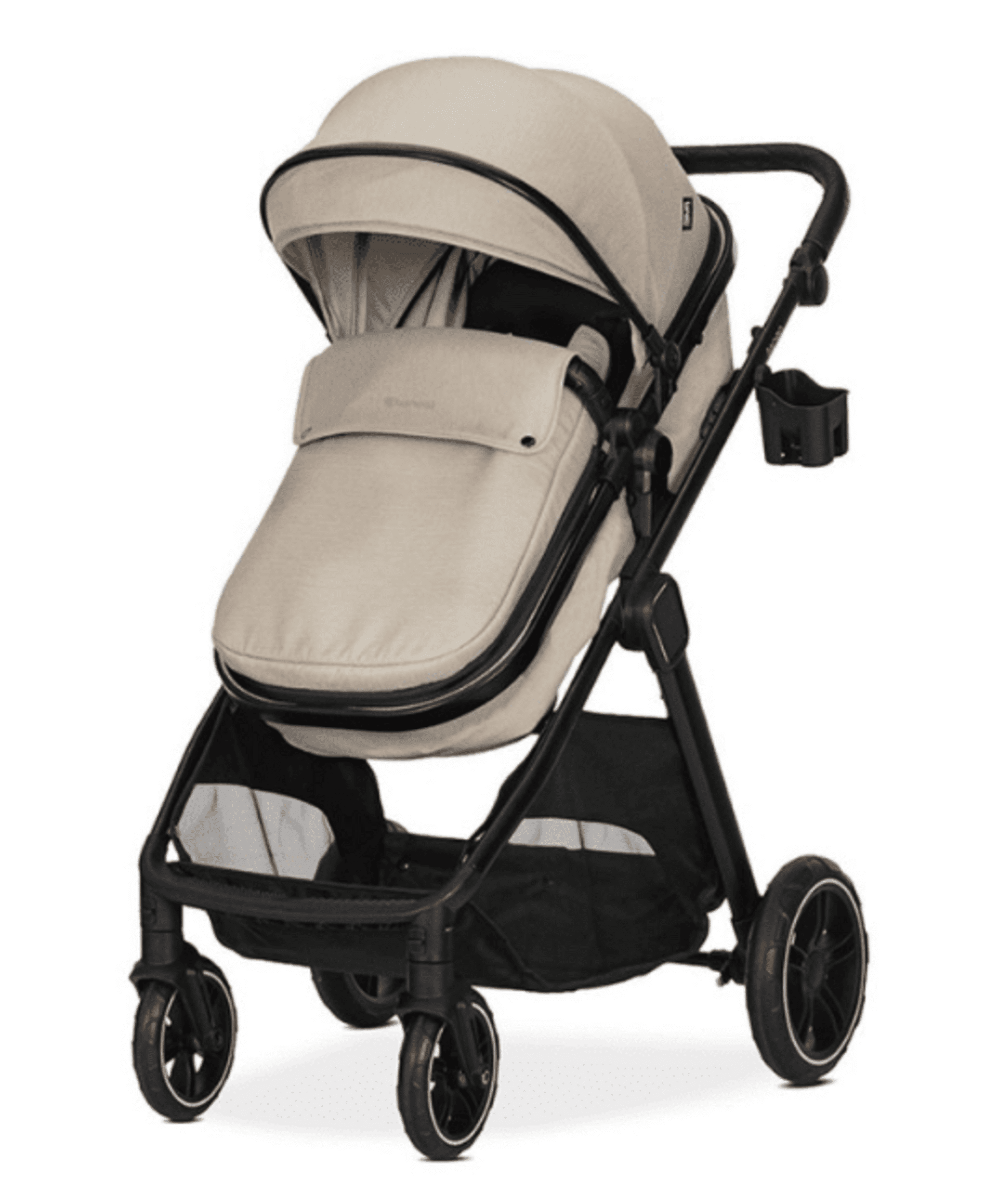 𝐂𝐀𝐑𝐑𝐈𝐓𝐎 𝐀𝐒𝐏𝐄𝐍 - 10