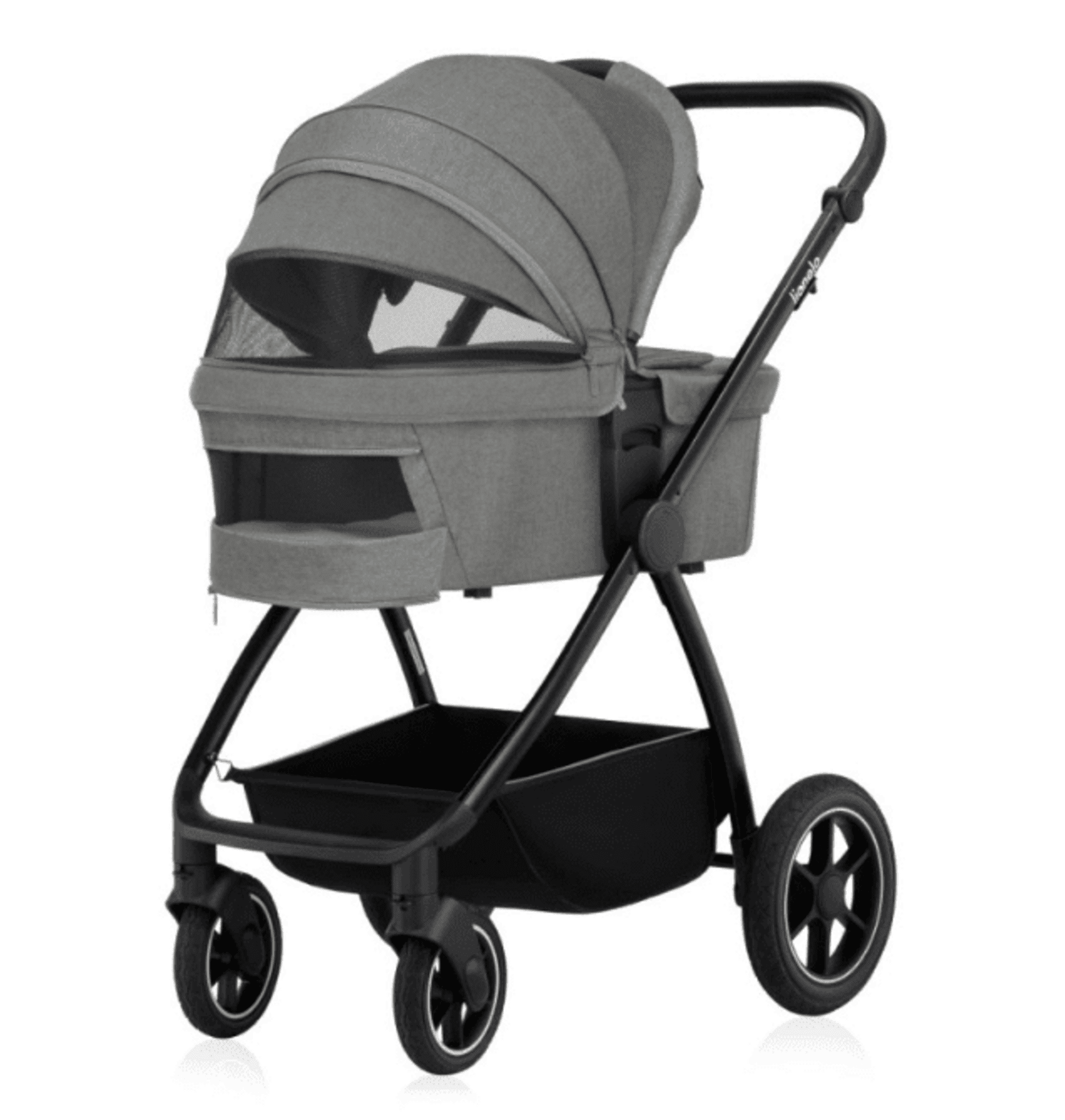 𝘾𝘼𝙍𝙍𝙊 𝙈𝙀𝙍𝙄𝙇 𝐃𝐔𝐎 - 5