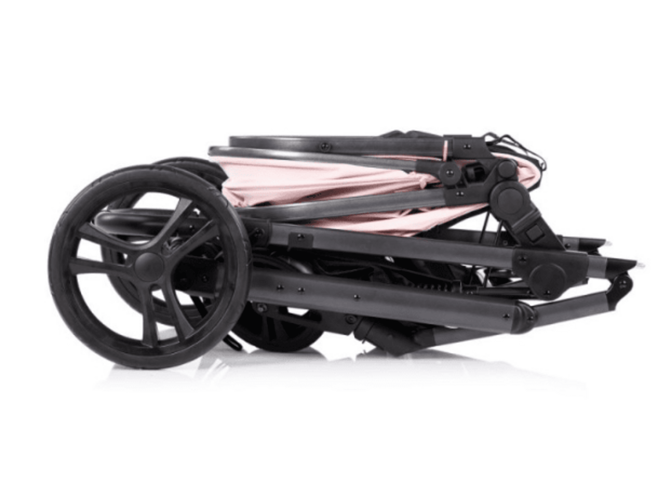 𝐂𝐀𝐑𝐑𝐈𝐓𝐎 𝐀𝐌𝐎𝐑𝐄 𝐃𝐔𝐎 - 5