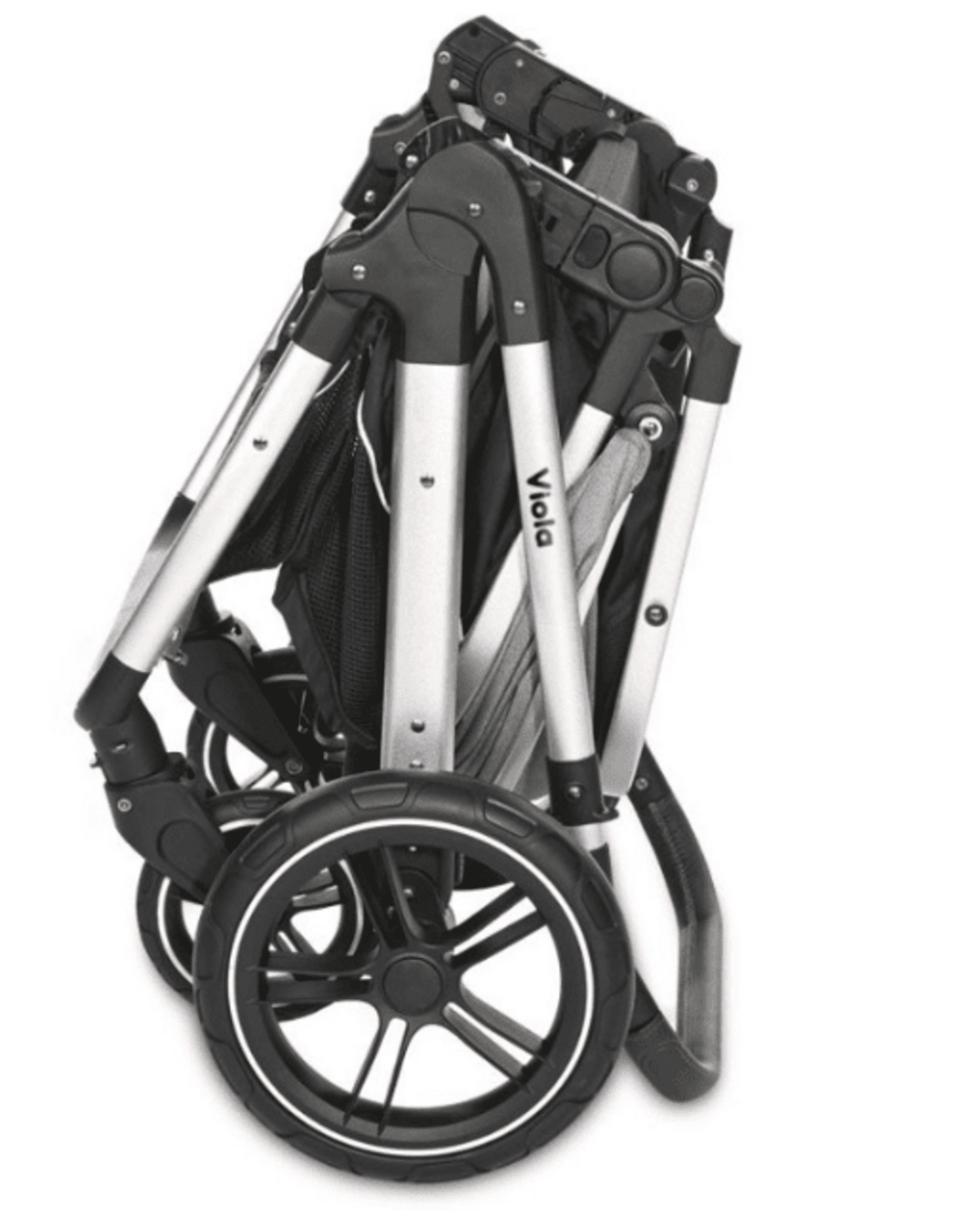 𝐂𝐀𝐑𝐑𝐈𝐓𝐎 𝐕𝐈𝐎𝐋𝐀 𝐃𝐔𝐎 - 12