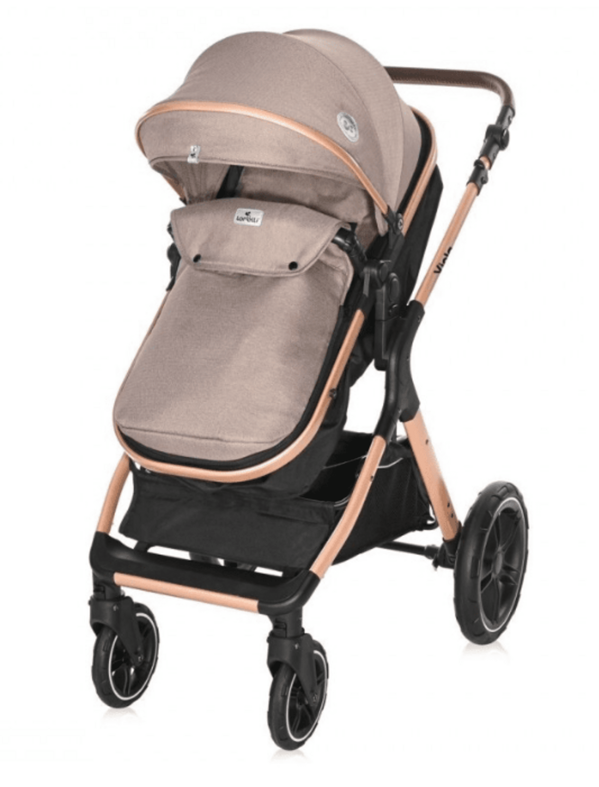 𝐂𝐀𝐑𝐑𝐈𝐓𝐎 𝐕𝐈𝐎𝐋𝐀 𝐃𝐔𝐎 - 14