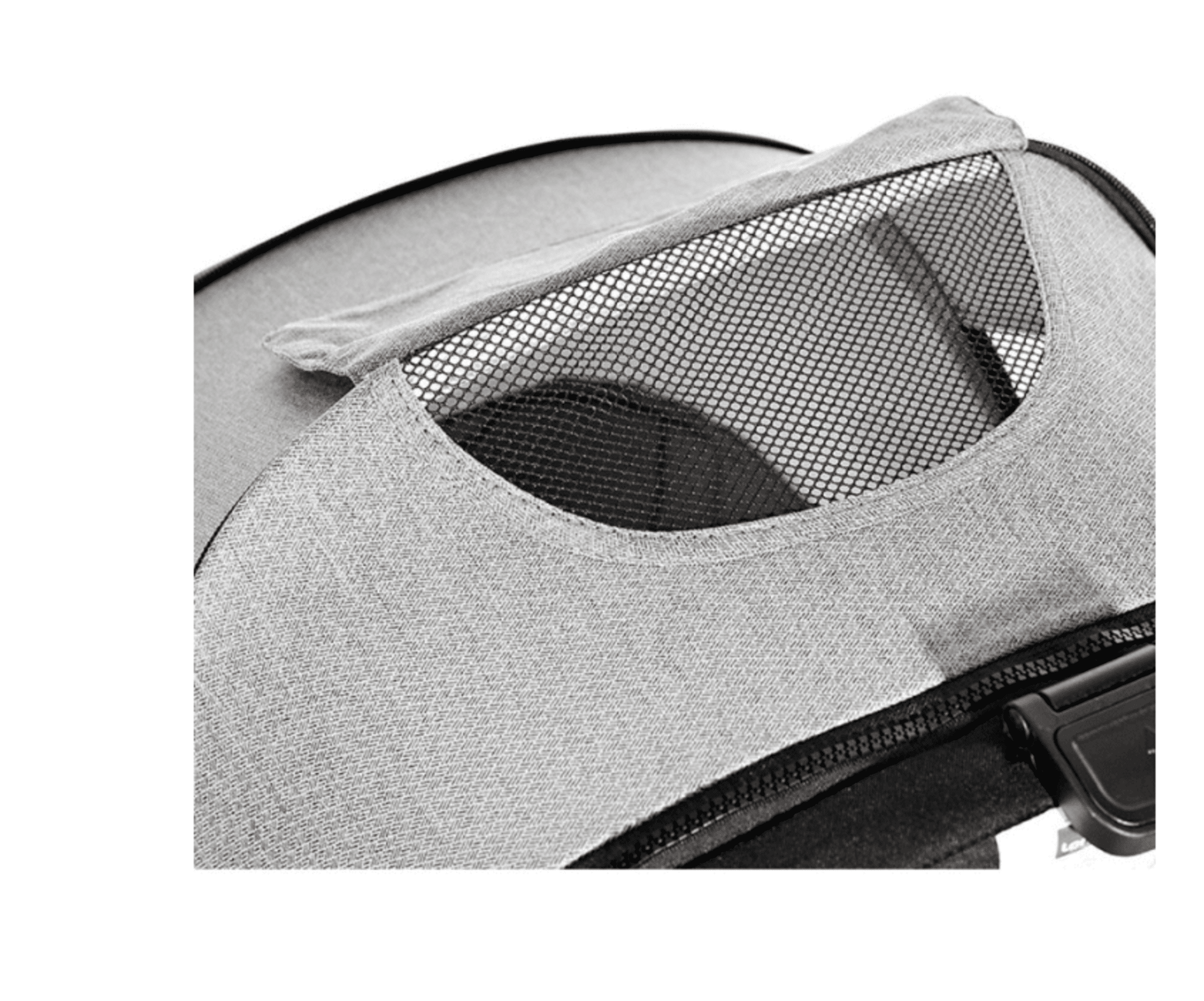 𝗖𝗔𝗥𝗥𝗜𝗧𝗢 𝗚𝗟𝗢𝗥𝗬 𝐃𝐔𝐎 - 2