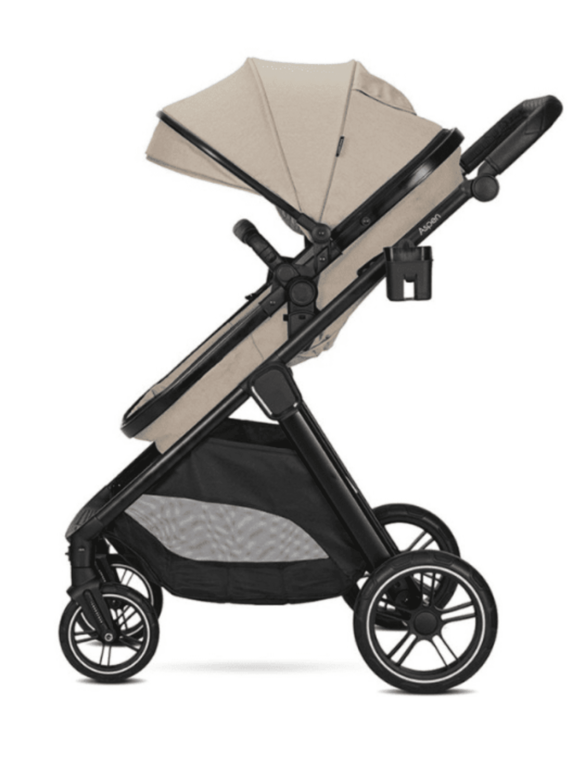 𝐂𝐀𝐑𝐑𝐈𝐓𝐎 𝐀𝐒𝐏𝐄𝐍 - 9