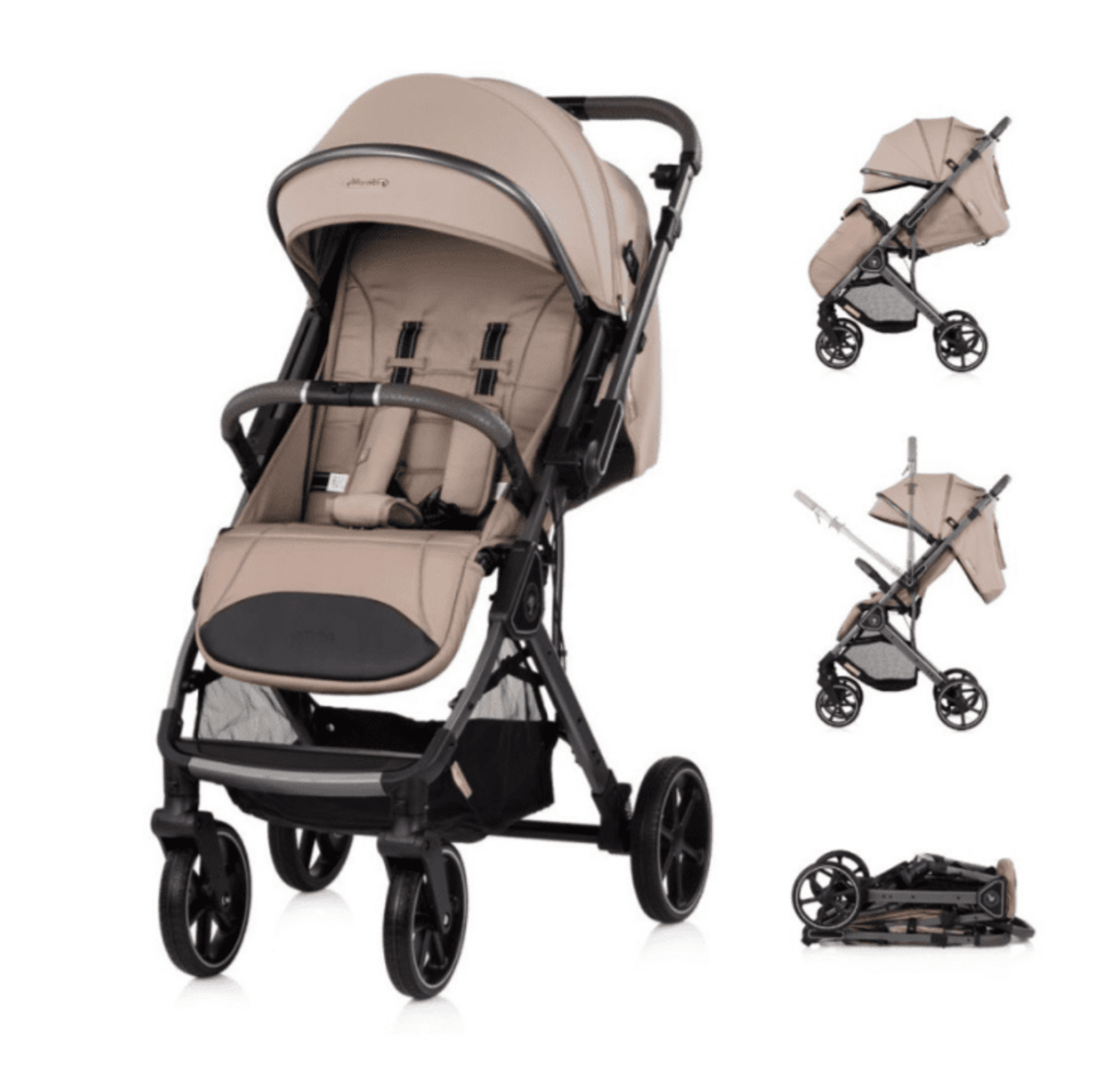 𝗦𝗜𝗟𝗟𝗔 𝗣𝗔𝗦𝗘𝗢 𝗢𝗠𝗡𝗜𝗔 𝗥𝗘𝗩𝗘𝗥𝗦𝗜𝗕𝗟𝗘 𝟯𝟲𝟬º - 12