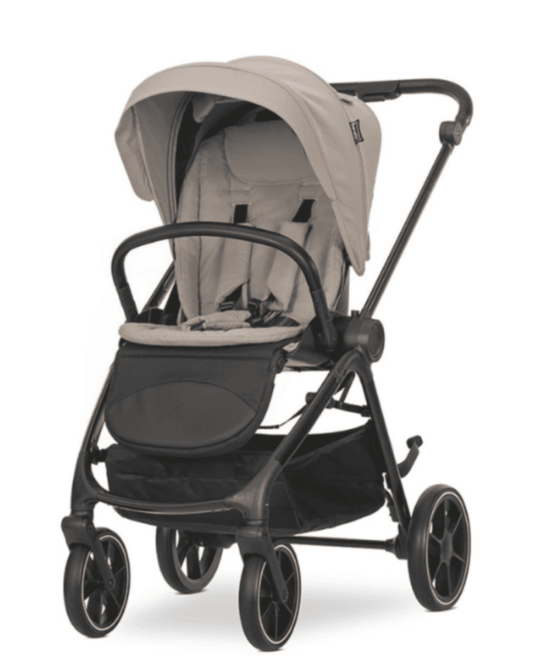 𝘾𝘼𝙍𝙍𝙄𝙏𝙊 𝙑𝙀𝙉𝙄𝘾𝙀 𝐃𝐔𝐎 - 11