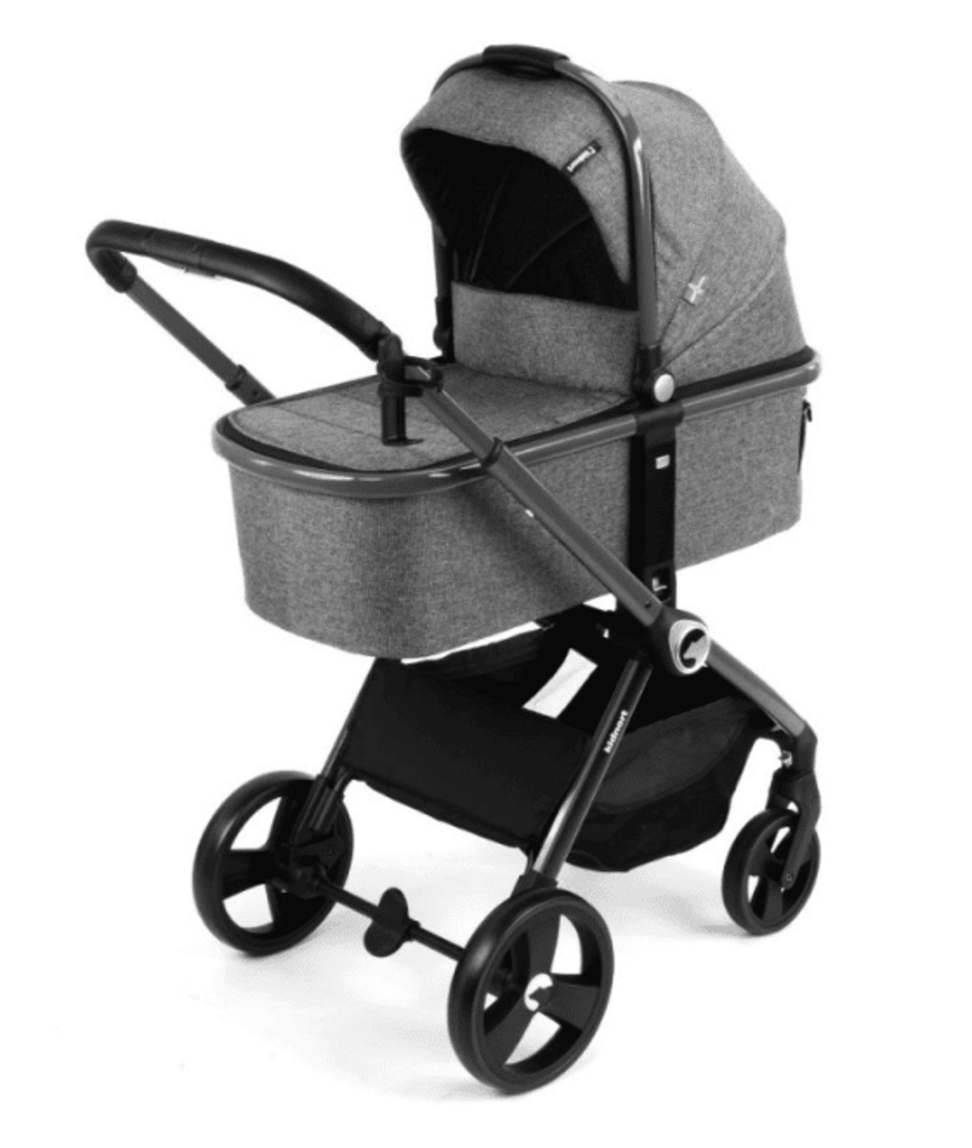 𝗖𝗔𝗥𝗥𝗜𝗧𝗢 𝗞𝗜𝗗𝗡𝗢𝗥𝗧 𝐃𝐔́𝐎 - 2