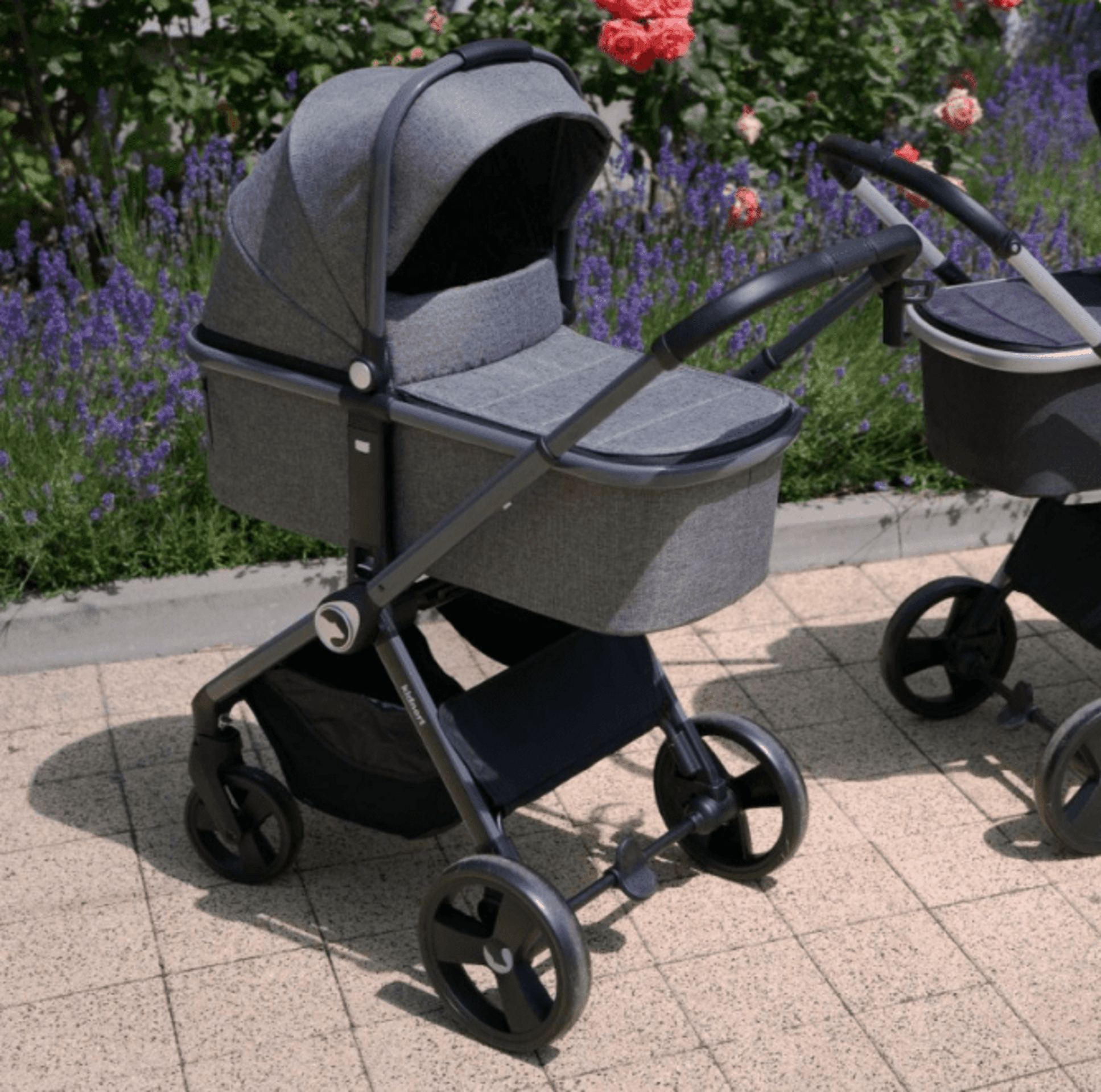 𝗖𝗔𝗥𝗥𝗜𝗧𝗢 𝗞𝗜𝗗𝗡𝗢𝗥𝗧 𝐃𝐔́𝐎 - 6