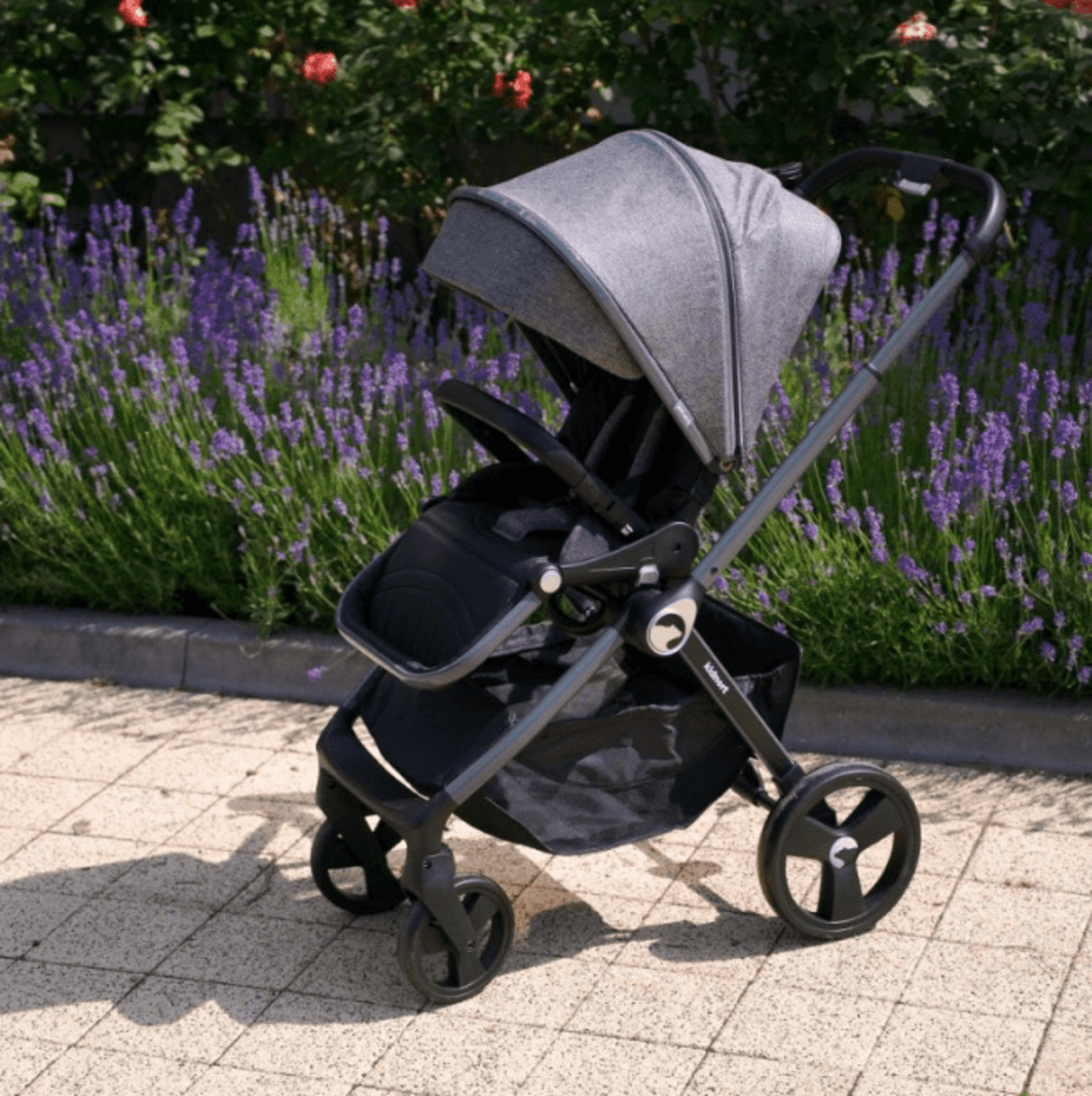 𝗖𝗔𝗥𝗥𝗜𝗧𝗢 𝗞𝗜𝗗𝗡𝗢𝗥𝗧 𝐃𝐔́𝐎 - 7