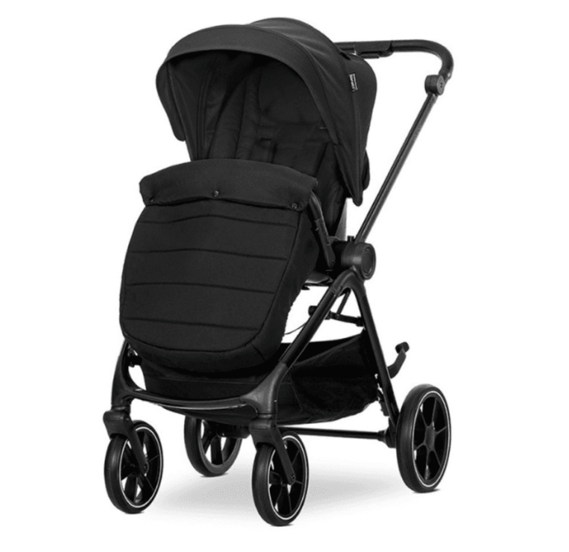 𝘾𝘼𝙍𝙍𝙄𝙏𝙊 𝙑𝙀𝙉𝙄𝘾𝙀 𝐃𝐔𝐎 - 17