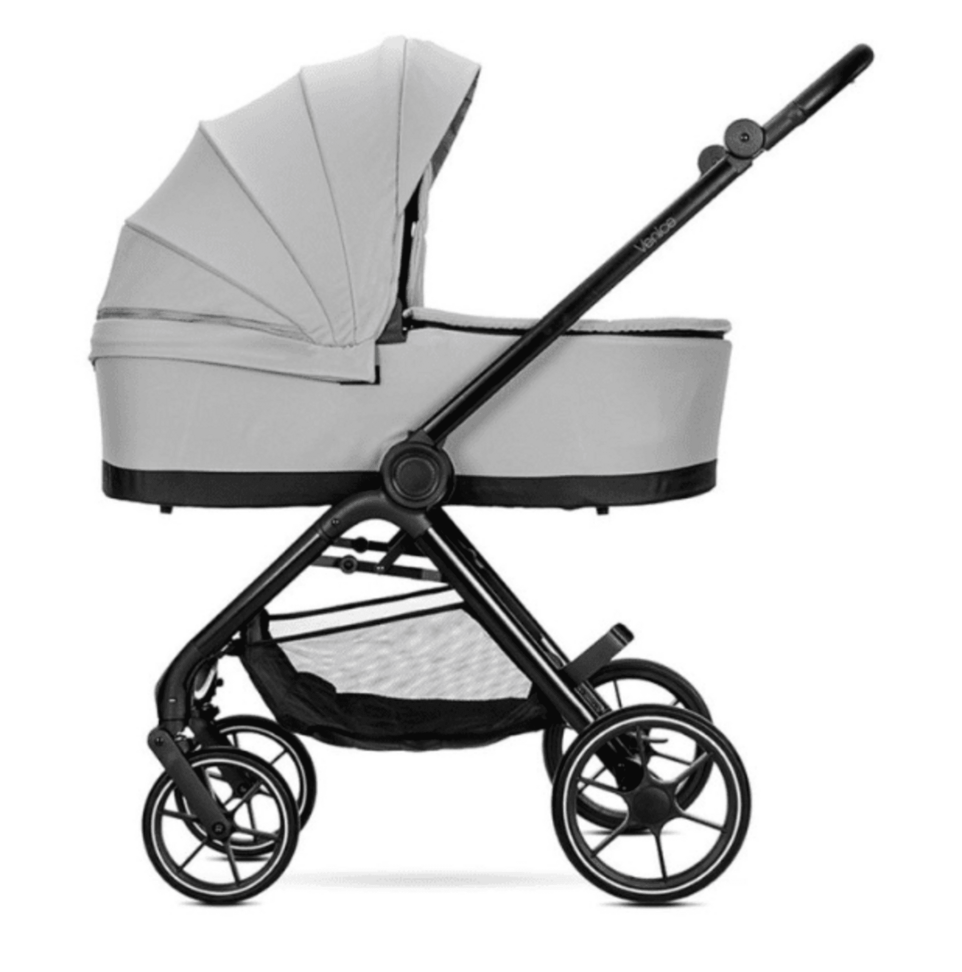 𝘾𝘼𝙍𝙍𝙄𝙏𝙊 𝙑𝙀𝙉𝙄𝘾𝙀 𝐃𝐔𝐎 - 21