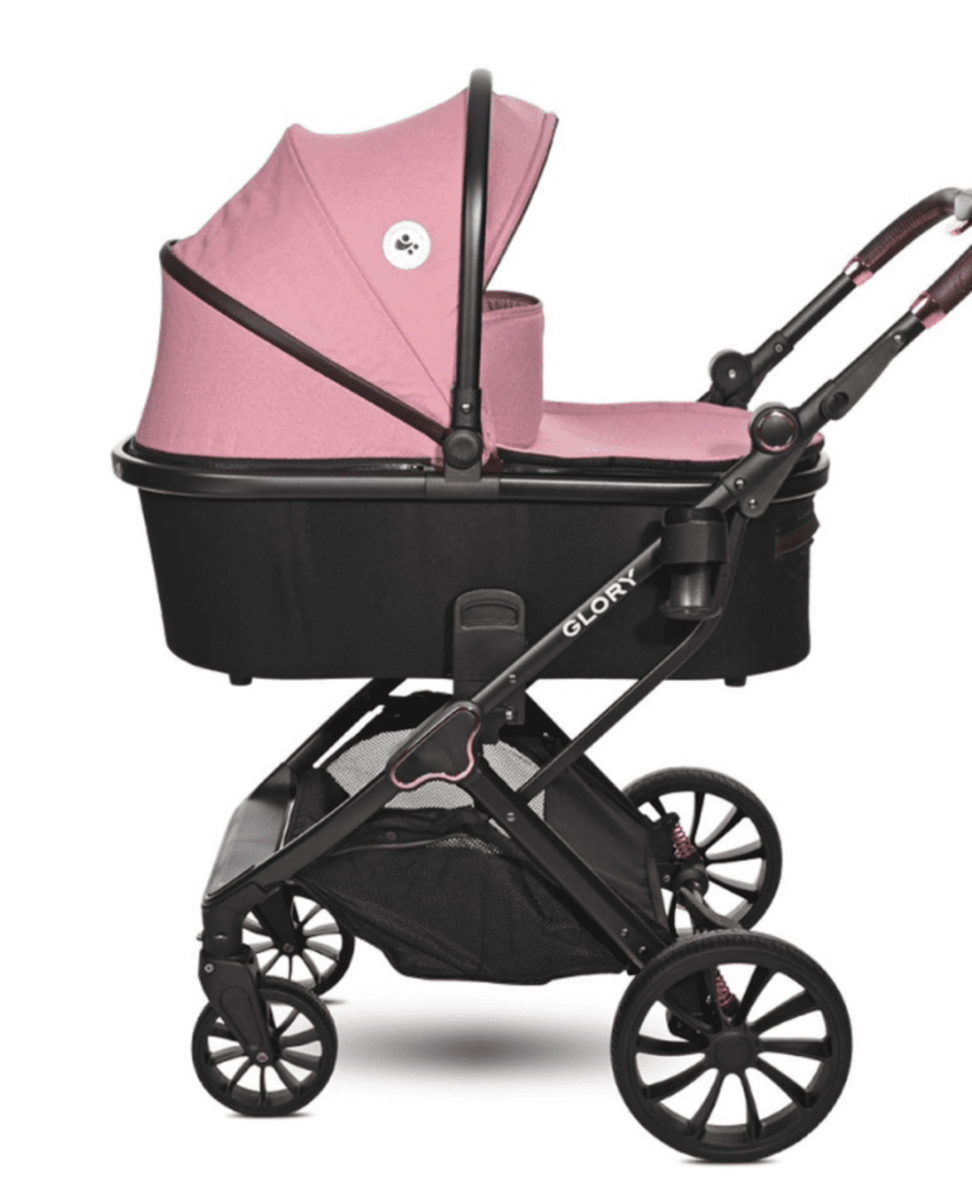 𝗖𝗔𝗥𝗥𝗜𝗧𝗢 𝗚𝗟𝗢𝗥𝗬 𝐃𝐔𝐎 - 11