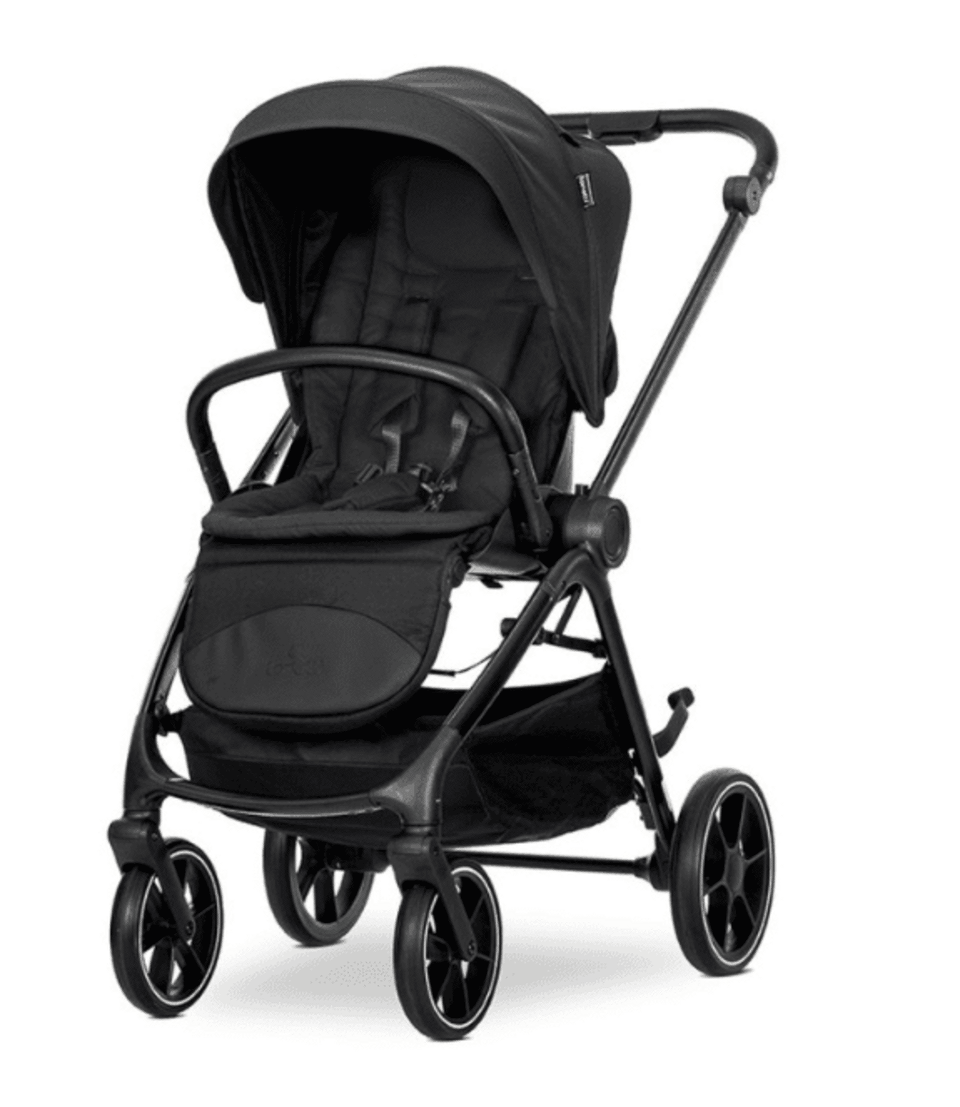 𝘾𝘼𝙍𝙍𝙄𝙏𝙊 𝙑𝙀𝙉𝙄𝘾𝙀 𝐃𝐔𝐎 - 16