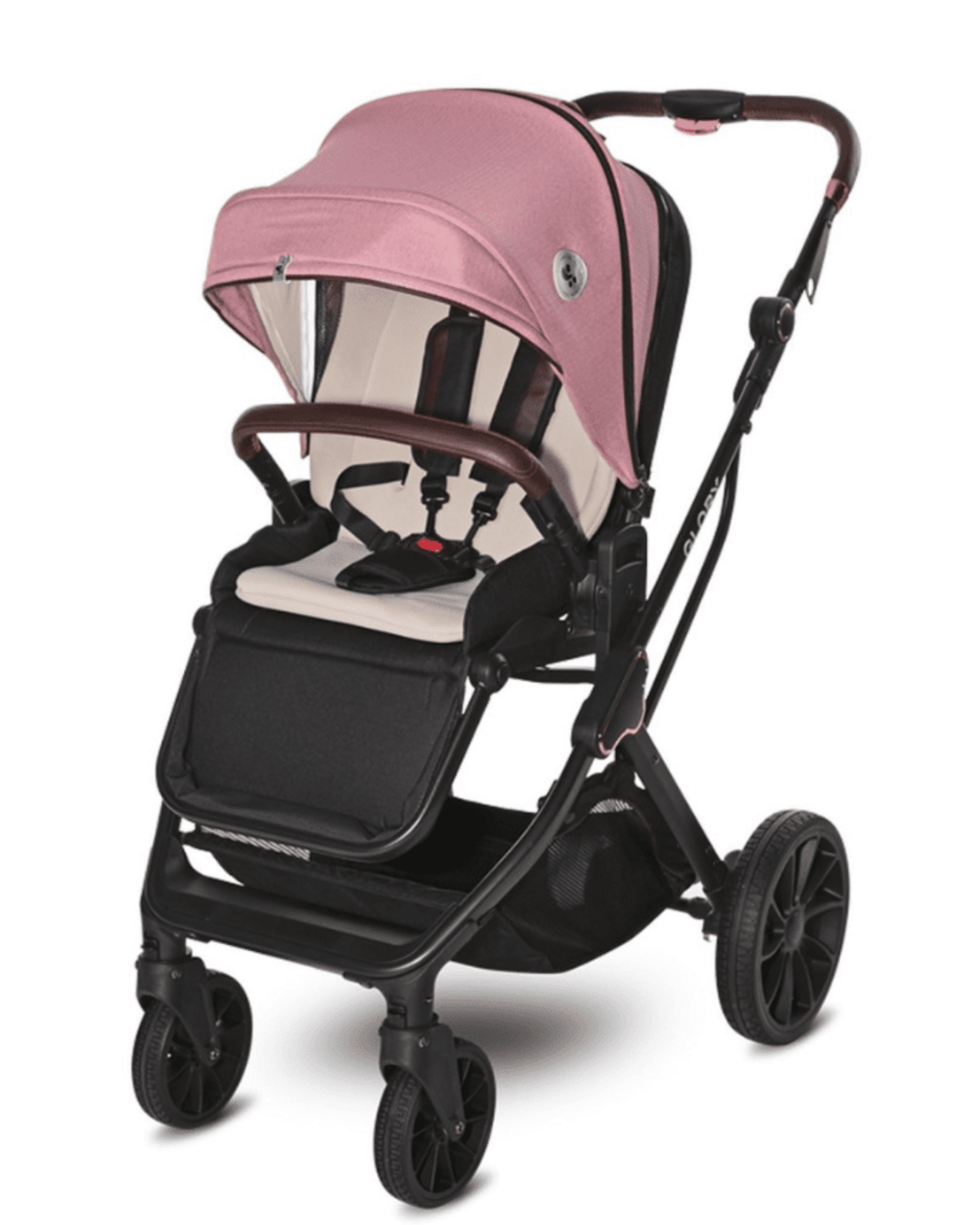 𝗖𝗔𝗥𝗥𝗜𝗧𝗢 𝗚𝗟𝗢𝗥𝗬 𝐃𝐔𝐎 - 12