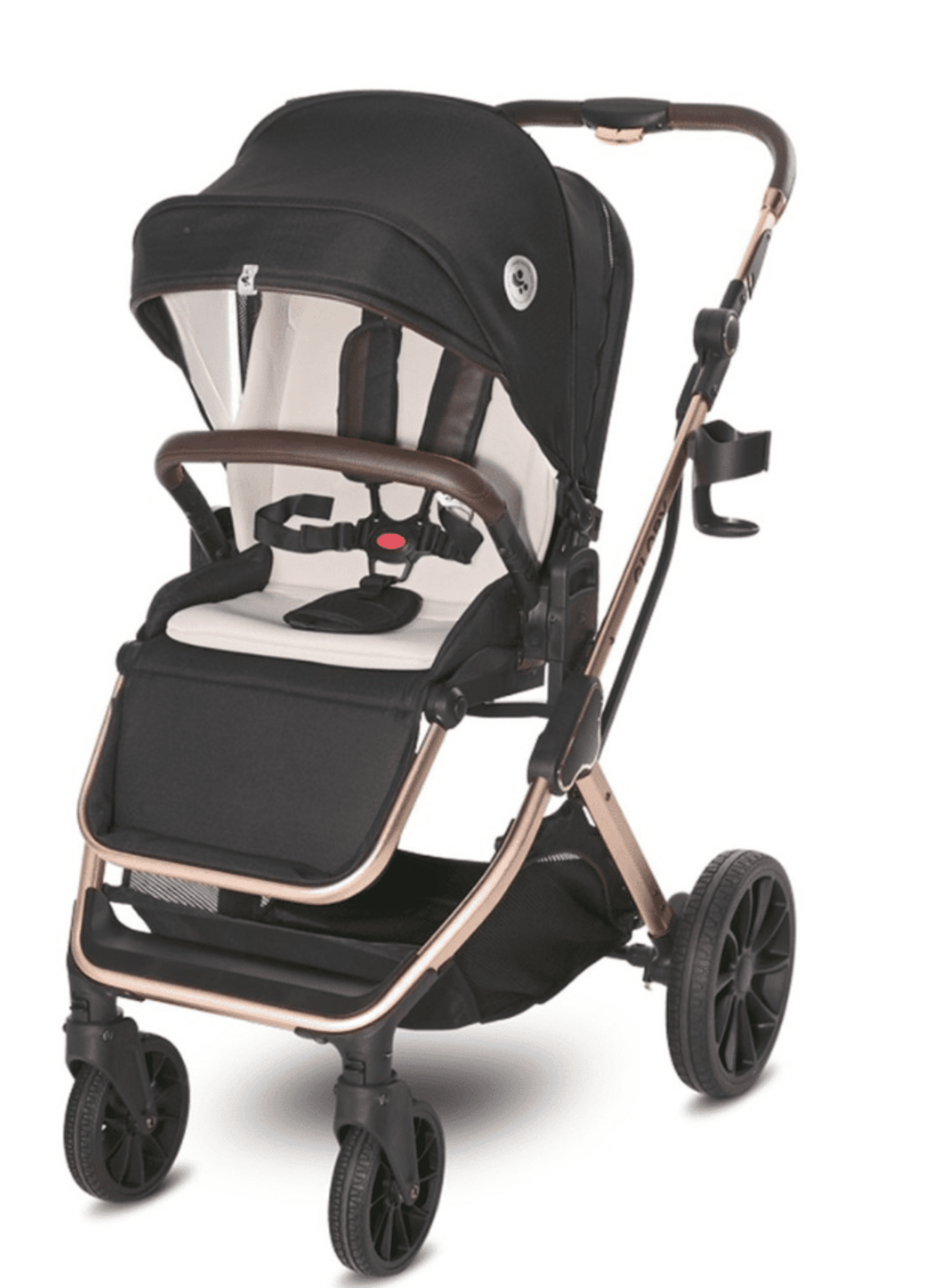 𝗖𝗔𝗥𝗥𝗜𝗧𝗢 𝗚𝗟𝗢𝗥𝗬 𝐃𝐔𝐎 - 22