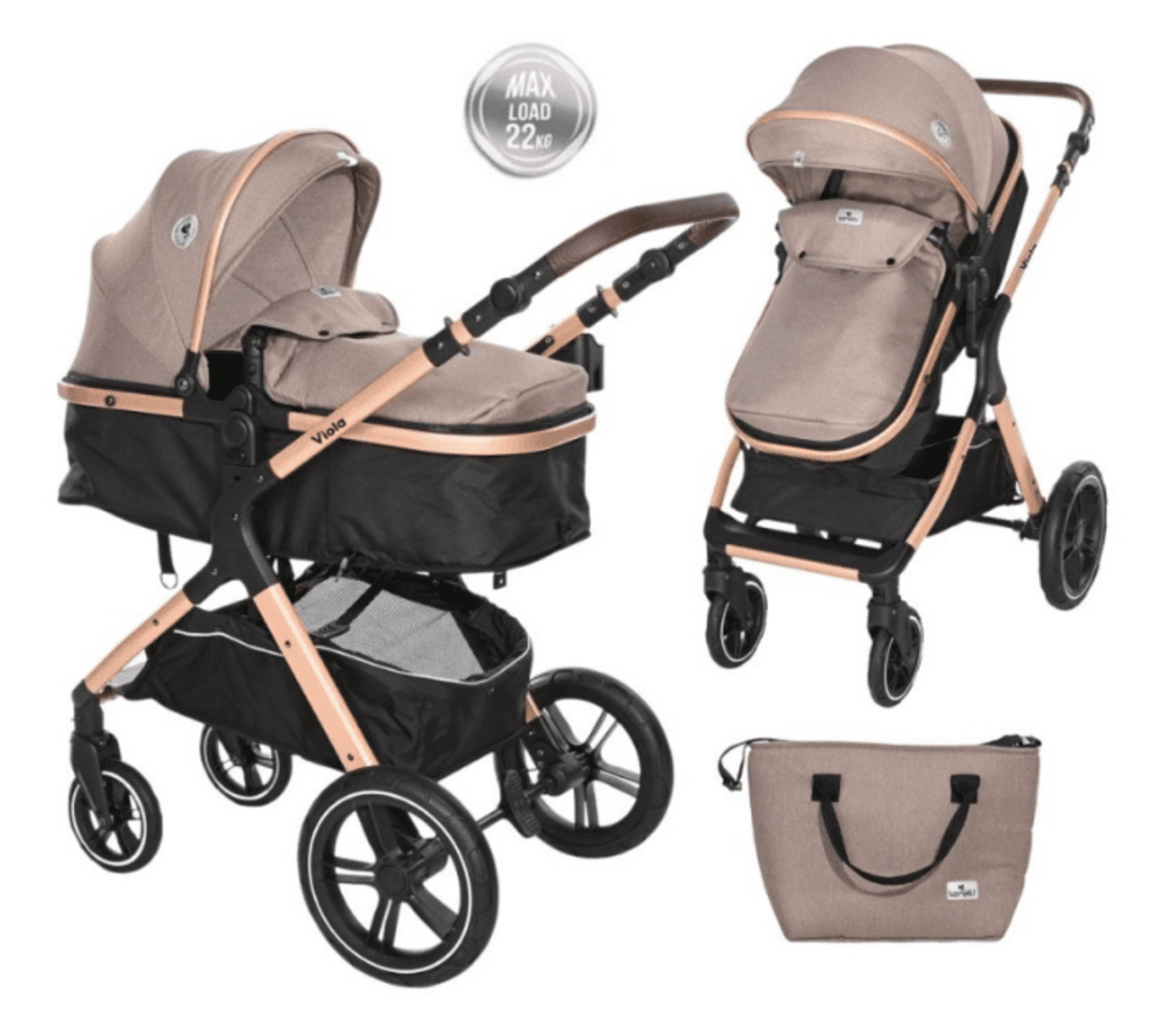 𝐂𝐀𝐑𝐑𝐈𝐓𝐎 𝐕𝐈𝐎𝐋𝐀 𝐃𝐔𝐎 - 11