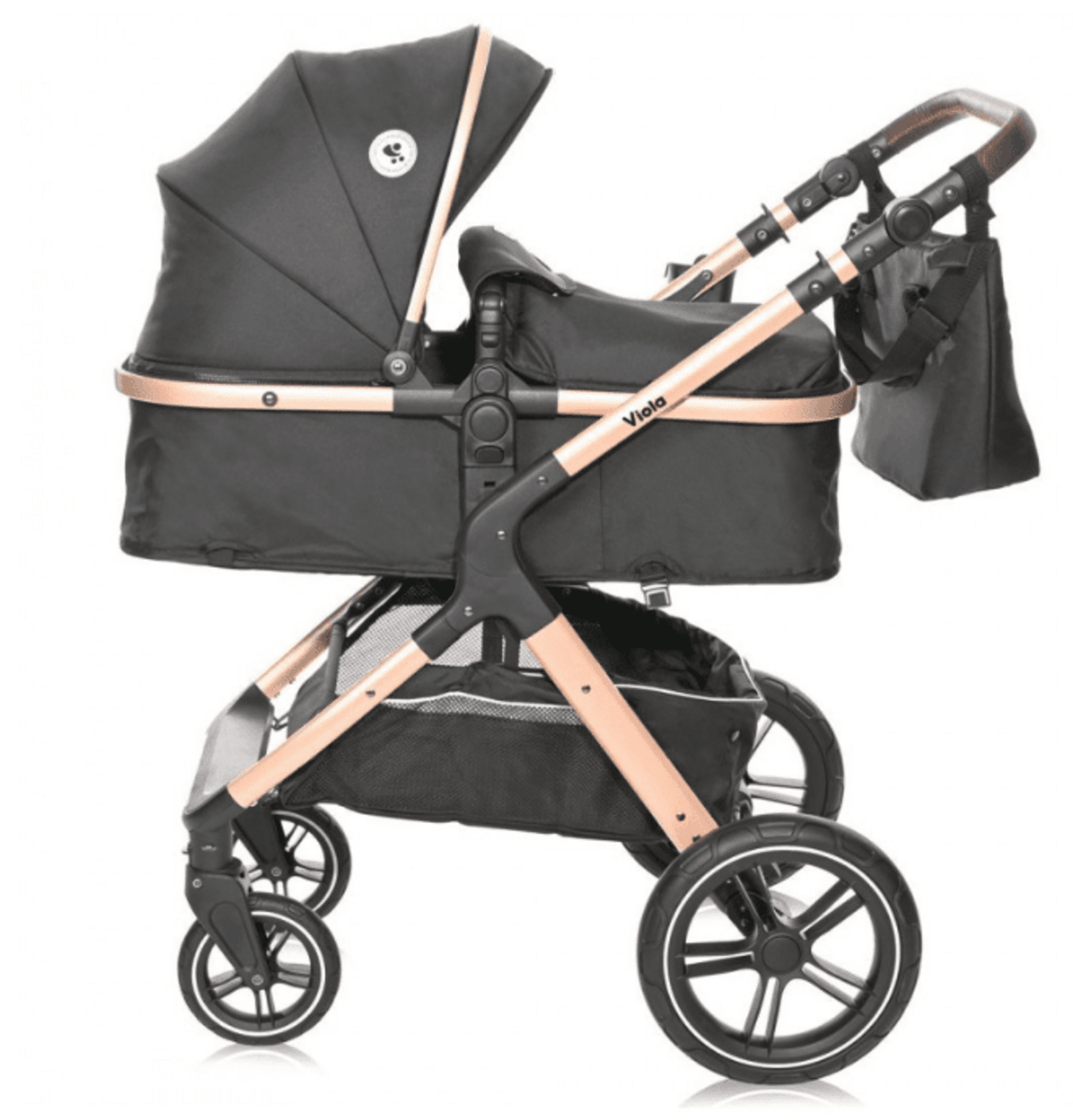 𝐂𝐀𝐑𝐑𝐈𝐓𝐎 𝐕𝐈𝐎𝐋𝐀 𝐃𝐔𝐎 - 6