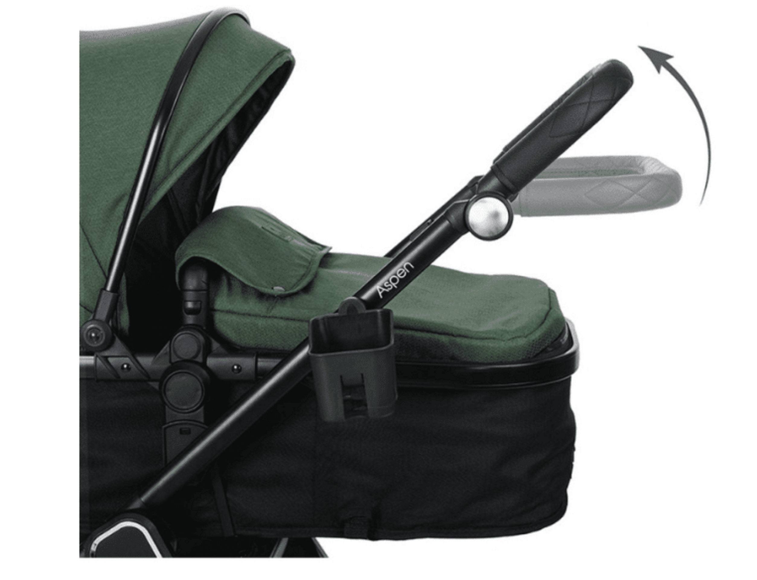 𝐂𝐀𝐑𝐑𝐈𝐓𝐎 𝐀𝐒𝐏𝐄𝐍 - 5