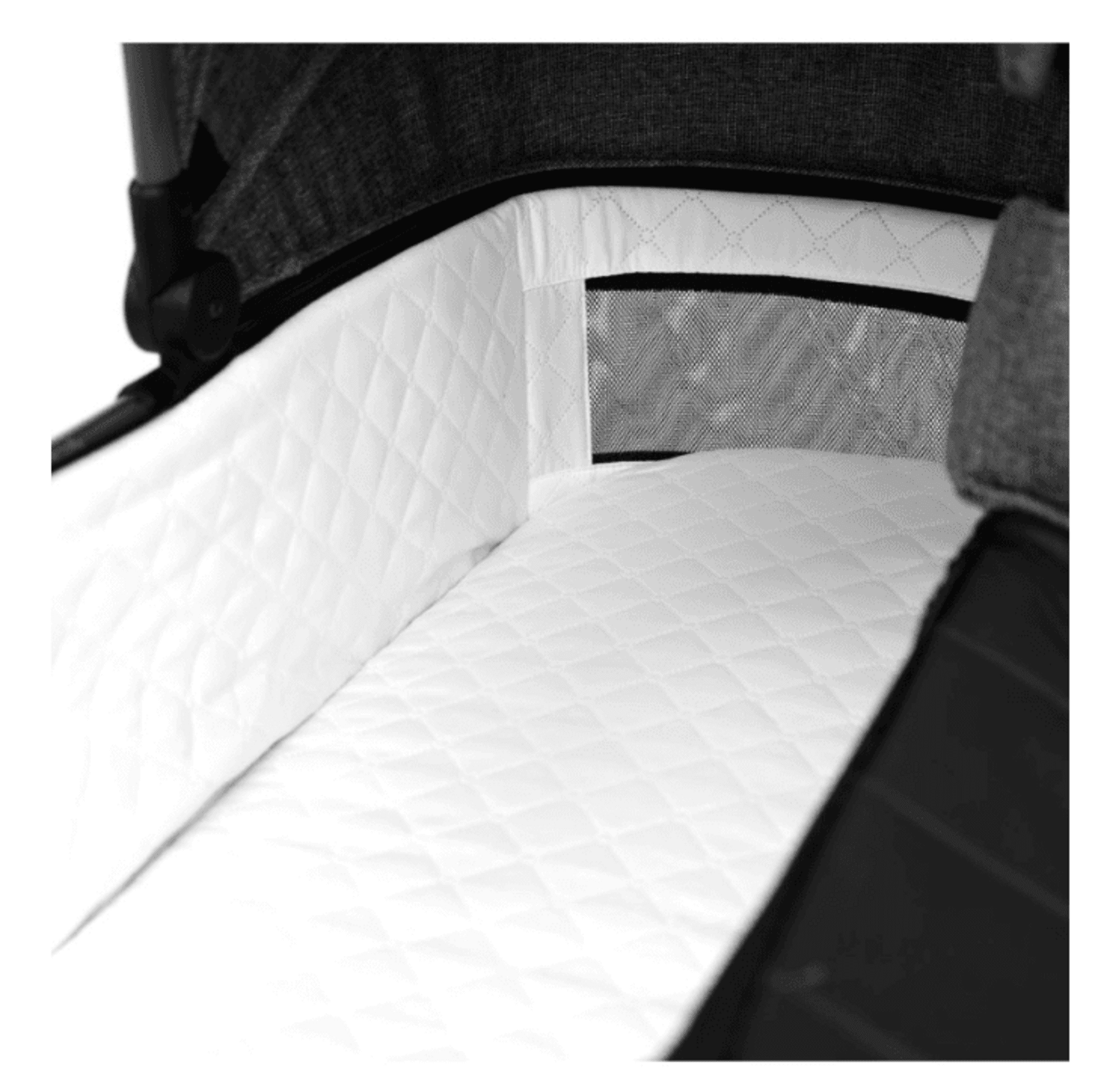 𝗖𝗔𝗥𝗥𝗜𝗧𝗢 𝗞𝗜𝗗𝗡𝗢𝗥𝗧 𝐃𝐔́𝐎 - 5