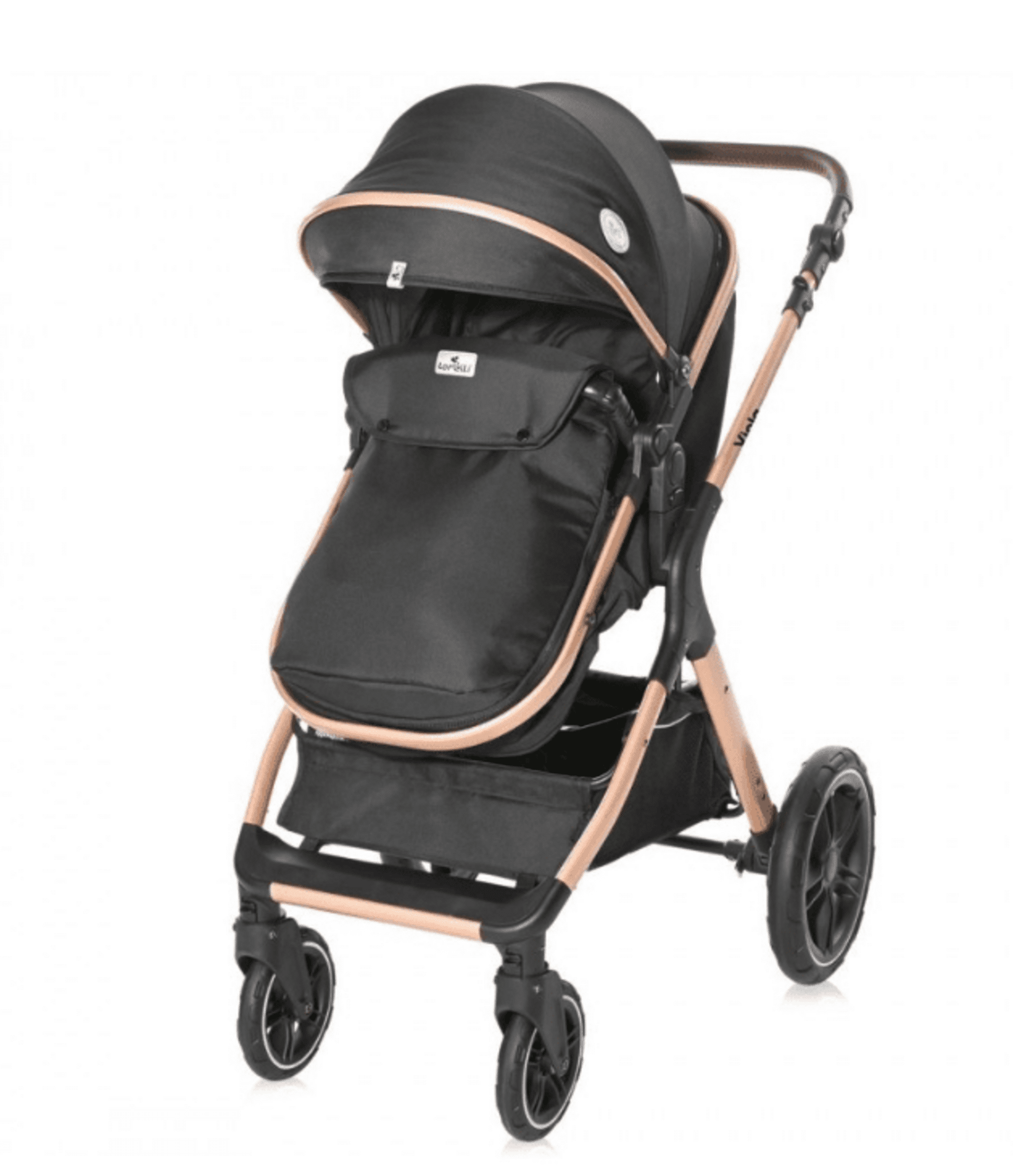 𝐂𝐀𝐑𝐑𝐈𝐓𝐎 𝐕𝐈𝐎𝐋𝐀 𝐃𝐔𝐎 - 7