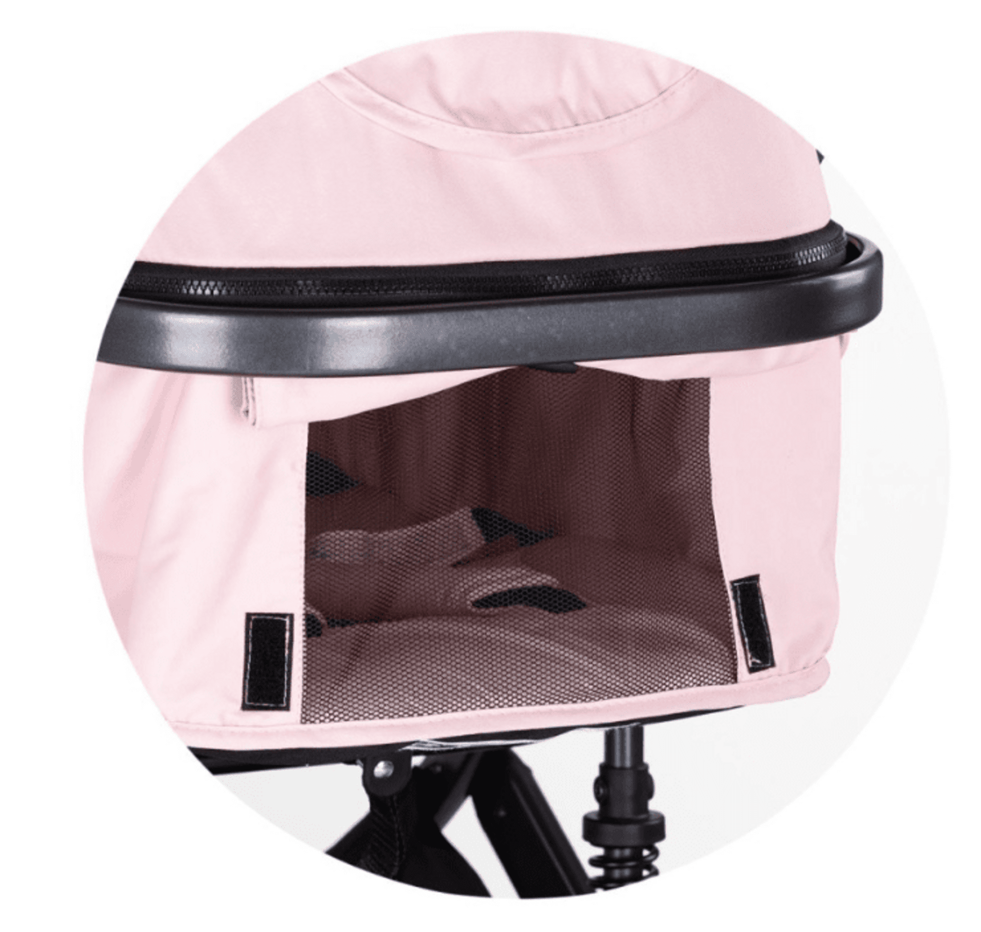 𝐂𝐀𝐑𝐑𝐈𝐓𝐎 𝐀𝐌𝐎𝐑𝐄 𝐃𝐔𝐎 - 20