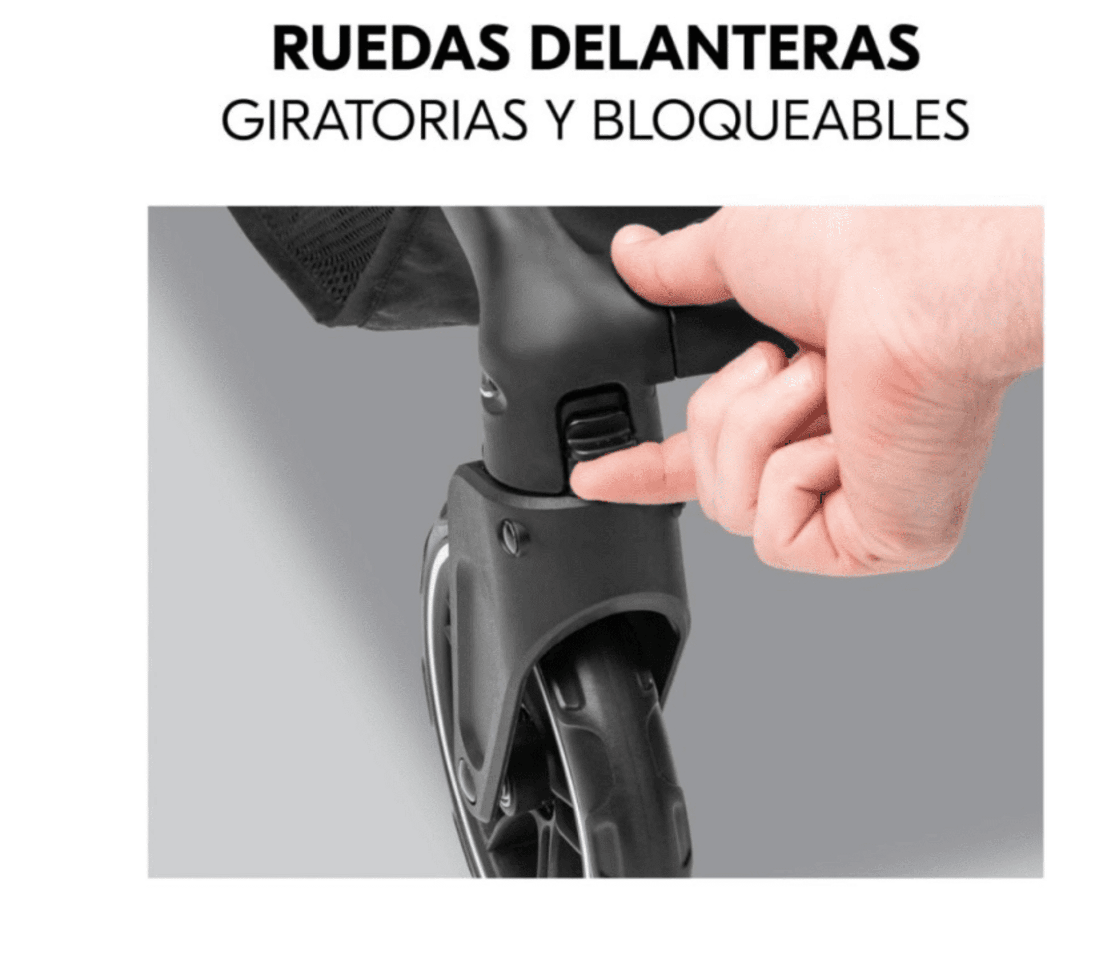 𝗦𝗜𝗟𝗟𝗔 𝗣𝗔𝗦𝗘𝗢 𝗦𝗛𝗢𝗣 𝗡 𝗖𝗔𝗥𝗘 - 5