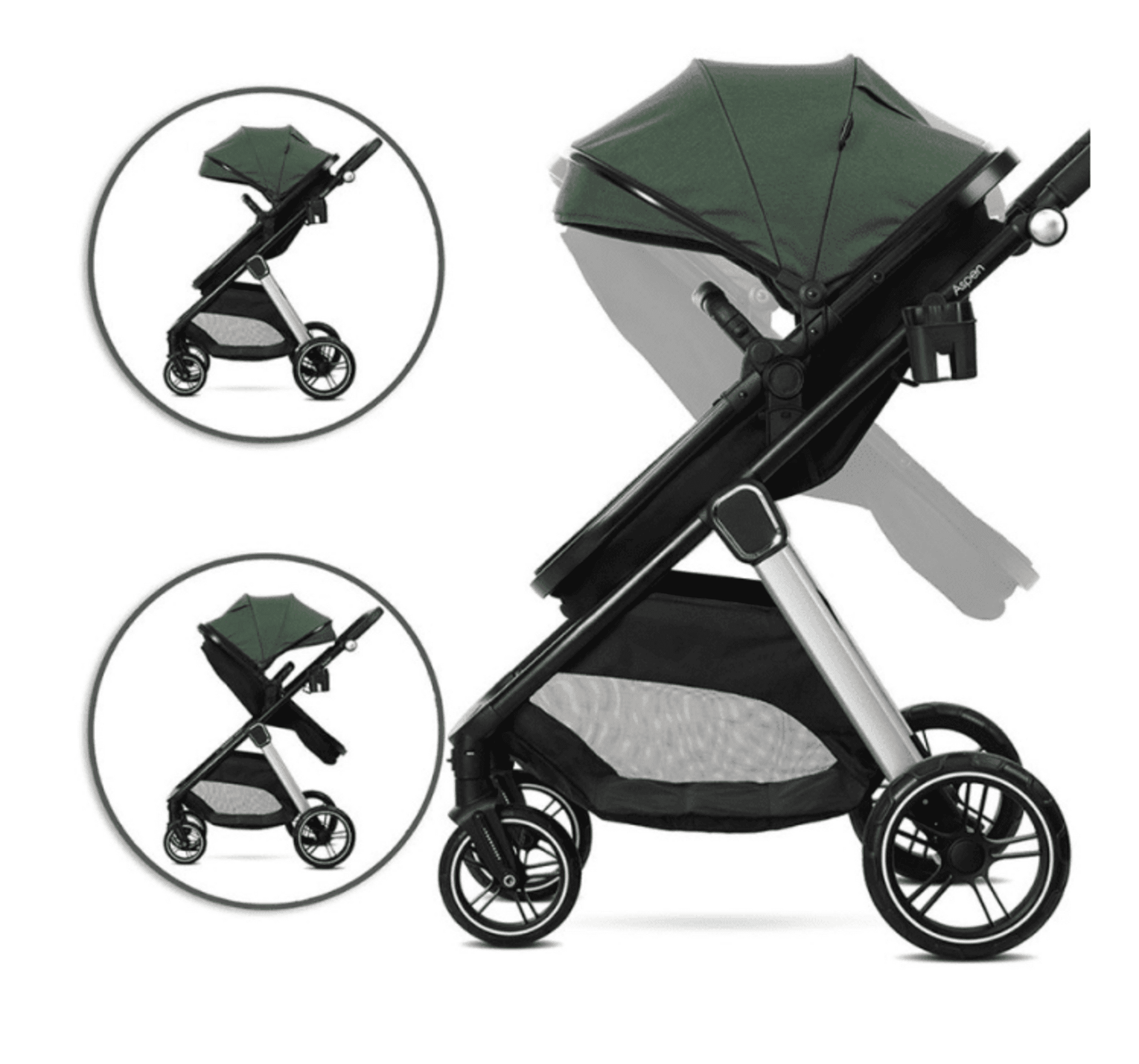 𝐂𝐀𝐑𝐑𝐈𝐓𝐎 𝐀𝐒𝐏𝐄𝐍 - 8