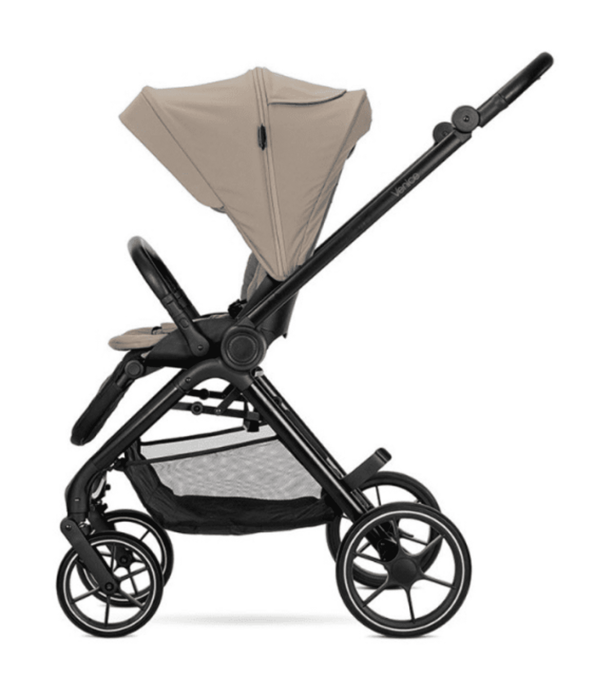 𝘾𝘼𝙍𝙍𝙄𝙏𝙊 𝙑𝙀𝙉𝙄𝘾𝙀 𝐃𝐔𝐎 - 13